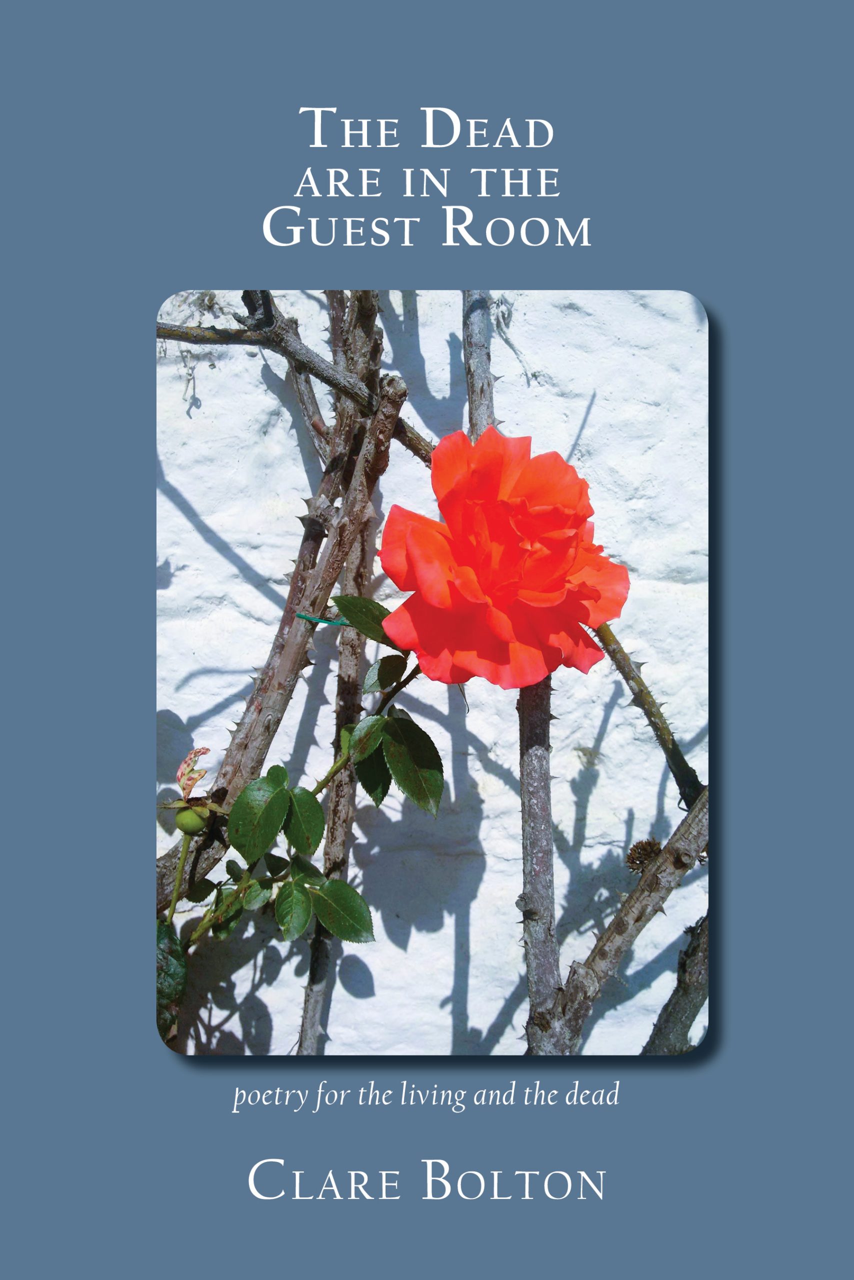 06 The dead are in the guest room book cover 2024